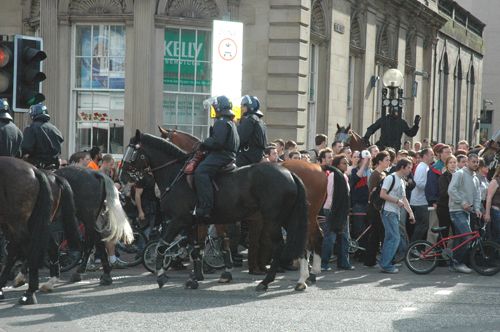 horses